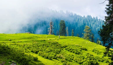 Naran Kaghan